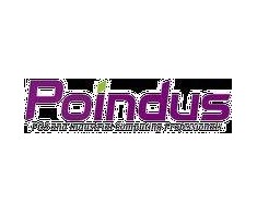 Poindus Metal Desktop Stand