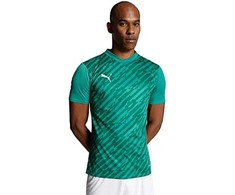 Vyriški marškinėliai Puma teamULTIMATE žalia 705371 05 (M)