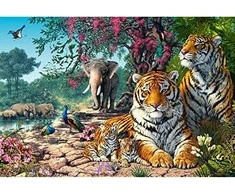 Castorland Dėlionė 3000 vnt. - Tigrai