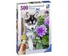 Ravensburger Dėlionė 500 vnt. - Šuniukas haskis