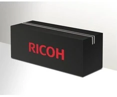 Ricoh 841426, 16000 puslapių, rausvai raudona, 1 vnt.