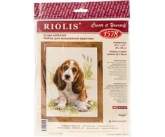 Riolis Basset Hound šuniukas 1578