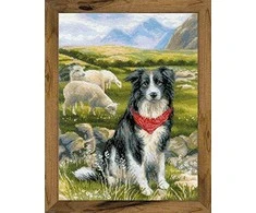 Border Collie siuvinėjimo rinkinys iš RIOLIS Nr.: 1767
