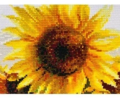 RIOLIS – Create It Yourself – Siuvinėjimo rinkinys „Karšta vasara“ 1488 (40x30 cm)