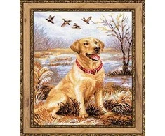 RIOLIS - Create It Yourself - Siuvinėjimo rinkinys „Labradoras“ 1399 (30x40 cm)