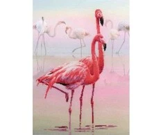 RIOLIS: Siuvinėjimo rinkinys su ant medžiagos atspaustu piešiniu „Flamingai“ 0012 PT (30x40 cm)