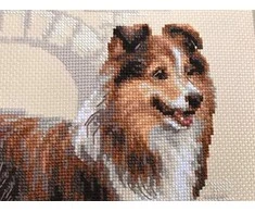 Sheltie siuvinėjimo rinkinys iš RIOLIS Nr.: 1710