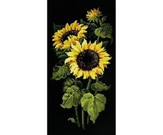 Riolis Saulėgrąžos 25x50 cm
