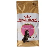 Royal Canin Maine Coon Kitten 2kg