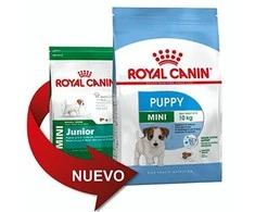 Royal Canin Mini Junior 800g