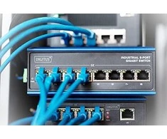 Šakotuvas Digitus ASSMANN Electronic DN-651119 tinklo komutatorius Gigabit Ethernet (10/100/1000) Juoda, Mėlyna