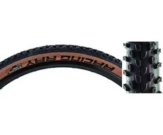 Padanga 29" Schwalbe Racing Ray HS 489 Evo Fold TLE 57-622 / 29x2.25 Super Race Addix Speed Transparent-Skin
