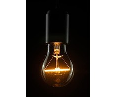 Segula Segula 55252 LED bulb Warm baltas 2200 K 2.5 W E27 G