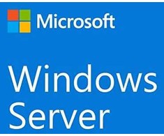 Microsoft Fujitsu WINSVR CAL 2022 10DEVICE/.