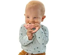 Ses Creative SES Teether 100% natūrali guma.13162 31623