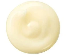 Shiseido Benefiance Wrinkle Smoothing Cream veido kremas nuo raukšlių, 50 ml