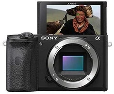 Sony A6600