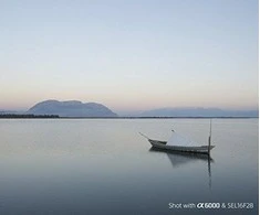 SONY SEL-16F28 Plačiakampis objektyvas