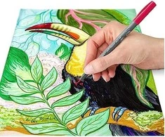 Staedtler – Pen Pigment Basic, 12 vnt (371 C12-1)