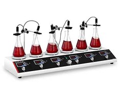 Steinberg Systems Laboratorinė magnetinė maišyklė 99°C laikmatis 6 stotelės + maišyklės