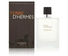 Hermes Terre d´Hermes Aftershave Vanduo vyrams, 100 ml