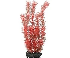 Tetra Deco Menas Raudona