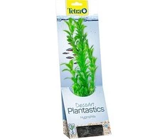 Tetra DecoArt augalas L Hygrophila