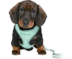 Trixie Minkštos petnešos šuniukams su jaunėliu pavadėliu, 26-34 cm / 10 mm, 2.00 m, mėtų spalva