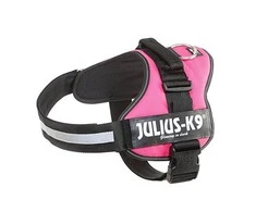 Trixie diržai Julius-K9, 2/L-XL: 71-96 cm, fuksijos spalvos