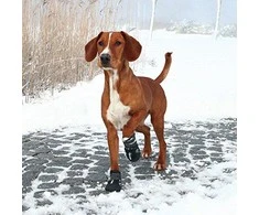 Trixie Walker Active apsauginiai batukai šuniui, M-L, 2vnt., juodi