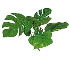 AMTRA ANUBIAS plastikinis augalas 15cm 1vnt