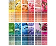 Plaukų dažai Wella Color Fresh Create 60ml - Nu-Dist Rožinė