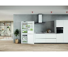 Šaldytuvas Whirlpool W7X82IW