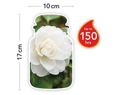 Yankee Candle Camellia Blossom Scented Candle, 623 g