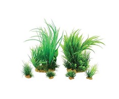 Zolux augalų dekoracija akvariumui Plantkit Jalaya, modelis 1