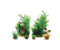 Zolux dekoratyvinis augalų rinkinys akvariumui Plantkit Jalaya modelis 2