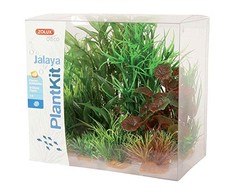 Zolux dekoratyvinis augalų rinkinys akvariumui Plantkit Jalaya modelis 2
