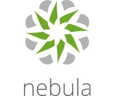 „ZYXEL NEBULA PROFESSIONAL“ PAKETO LICENCIJA (VIENAM ĮRENGINIUI) 1 METAI