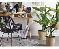 Beliani Dirbtinis motiejukas 115 cm STRELITZIA TREE