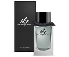 Mr. Burberry EDT tualetinis vanduo vyrams, 50 ml