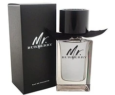 Burberry Mr. Burberry EDT tualetinis vanduo vyrams, 100 ml