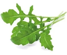 Click &amp; Grow sėklos išmaniajam vazonui - Lapinės garstyčios (SGR19X3) 3vnt.