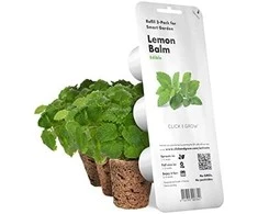 Click and Grow 3 vnt. papildymas - vaistinės melisos sėklos (lemon balm)