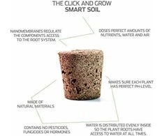 Click &amp; Grow sėklos išmaniajam vazonui - Taivanietiškas bazilikas (SGR37X3) 3vnt.
