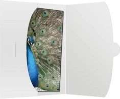 Nuotraukų rėmelis 1x50 Daiber Cover 15x20 baltas