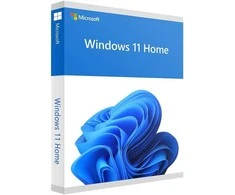 Programinė įranga su USB raktu Microsoft Windows 11 Home, 64 bitai (Tarptautinė versija)