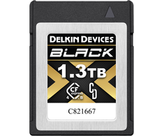 Atminties kortelė Delkin Juoda CFexpress 1.3 TB kortelė (DCFX4B13T)