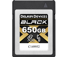 Atminties kortelė Karta Delkin Juodas CFexpress 650 GB (DCFX4B650)