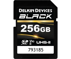 Atminties kortelė Delkin SDXC Juodas Rugged UHS-II R300/W250 (V90) 256GB (nauja)