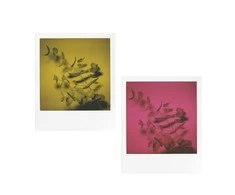 POLAROID ORIGINALS blykstė MINT SX-70 FLASHBAR